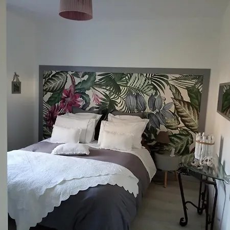 Maison Neuve Et Chaleureuse Morcenx