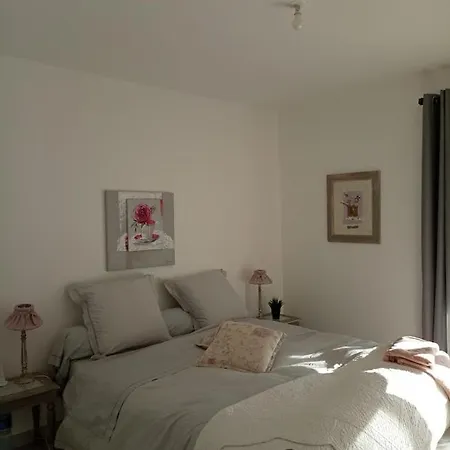 Maison Neuve Et Chaleureuse