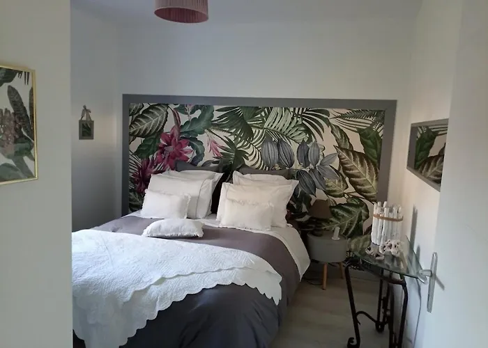 Maison Neuve Et Chaleureuse Morcenx