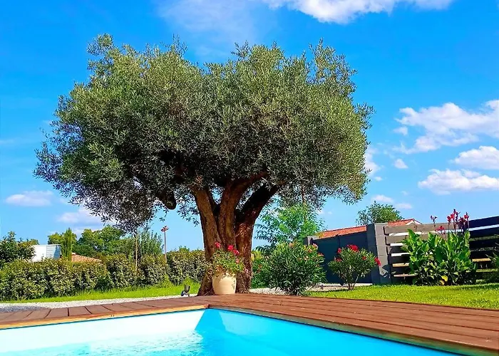 Maison Neuve Et Chaleureuse * Morcenx